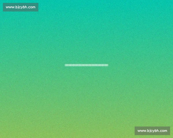 维尔茨登陆英超:罗尔费斯力挺转会决定,新挑战中淬炼世界级中场