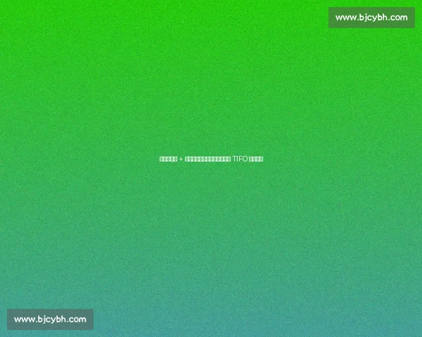 三星堆面具 + 球迷拼图！成都蓉城亚冠首秀 TIFO 震撼来袭